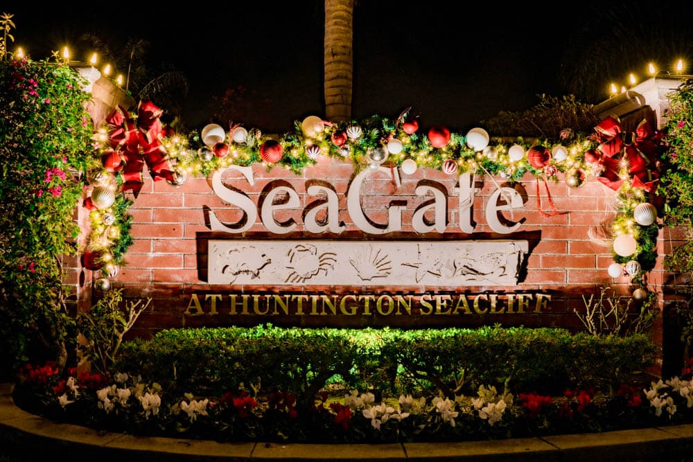 Professional holiday décor defining a commercial entrance and guest arrival
