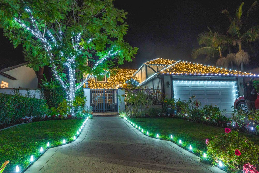 Residential roofline, mature tree, and walkway illuminated for the holiday season