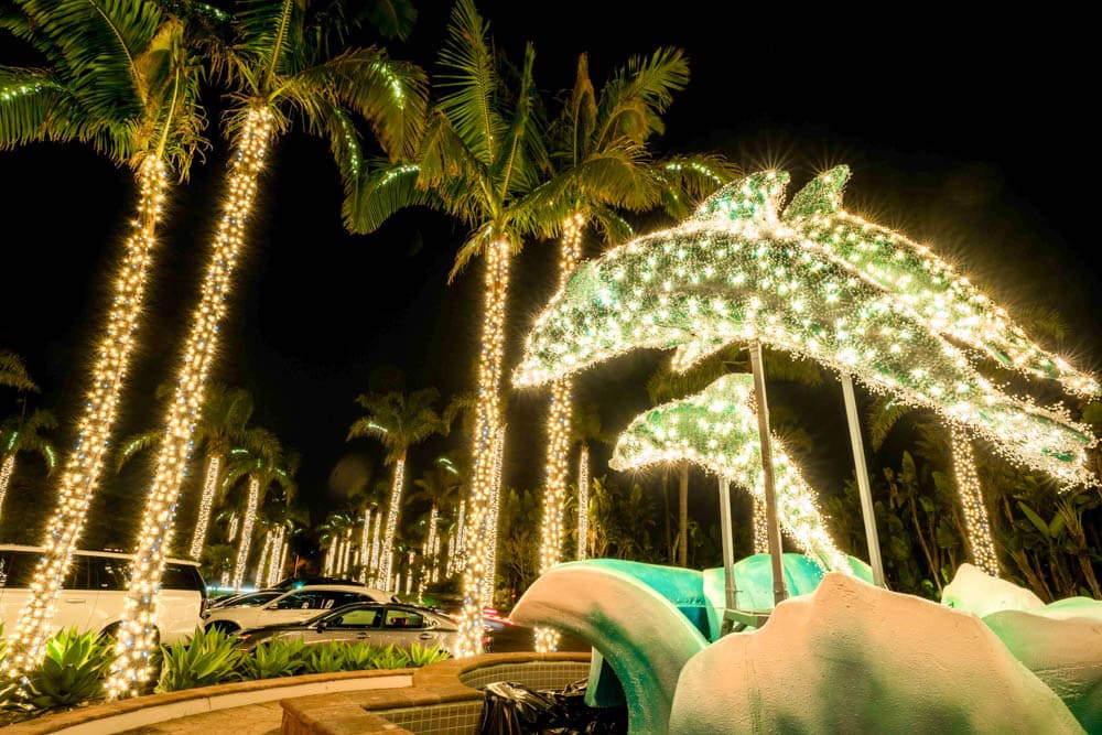 Illuminated dolphins and palms at a Southern California destination