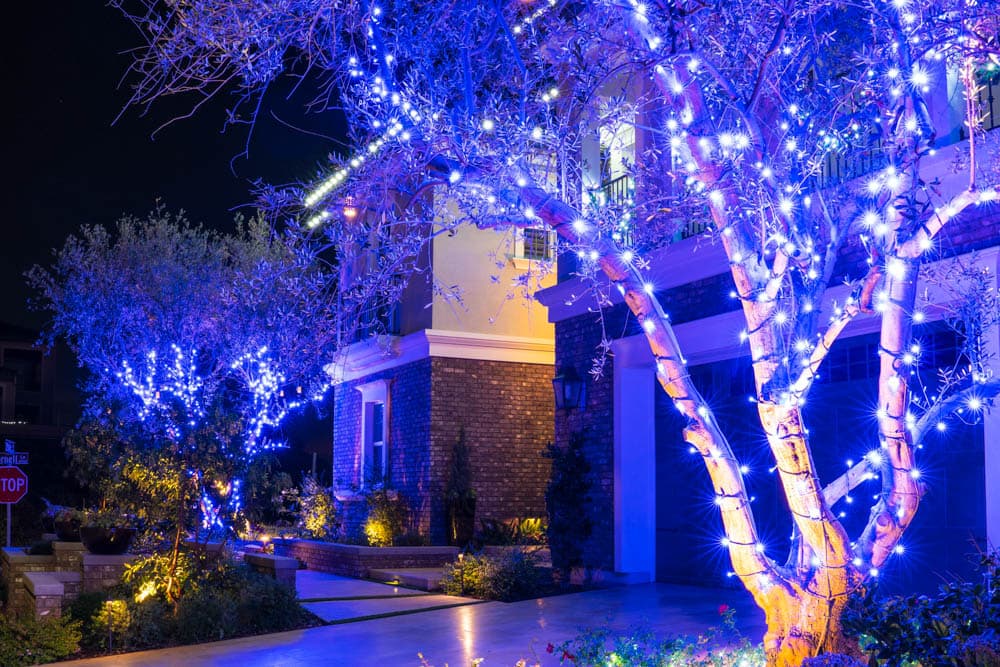 Residential trees and architecture illuminated with a layered blue and white holiday lighting design