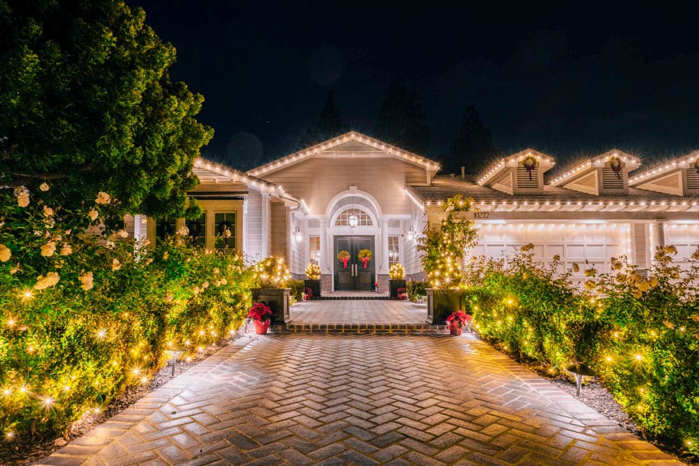 Residential trees, hedges, and roofline illuminated in warm white lights