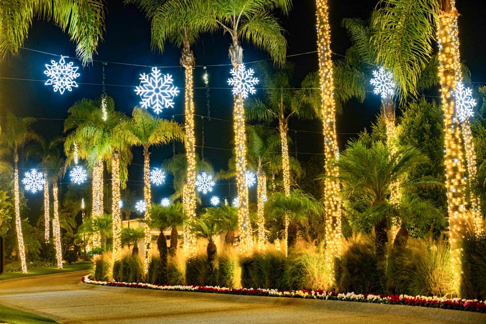 Palm-lined commercial drive wrapped in warm white lights with illuminated snowflakes