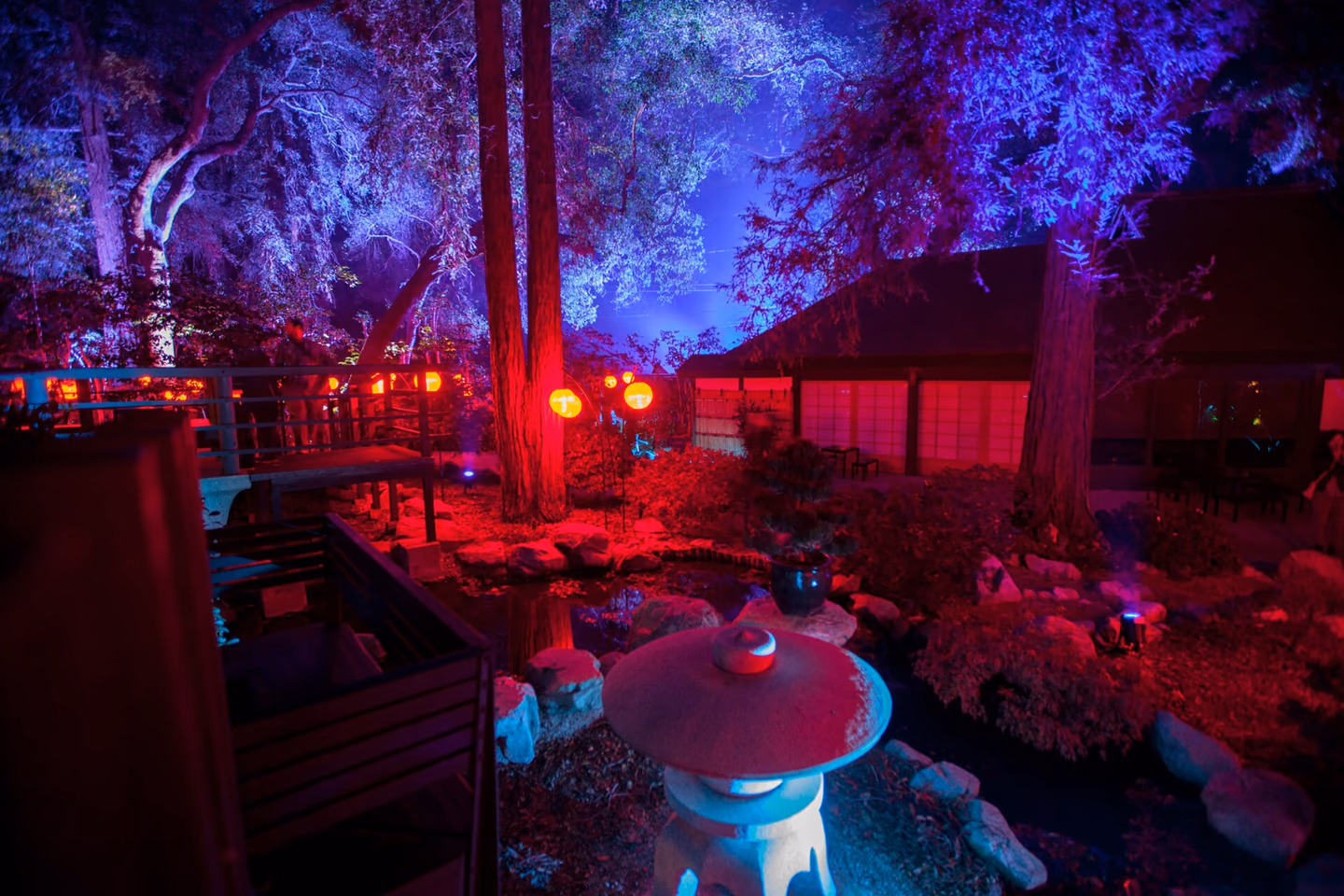Descanso Gardens illuminated in blue, violet and red light after dark