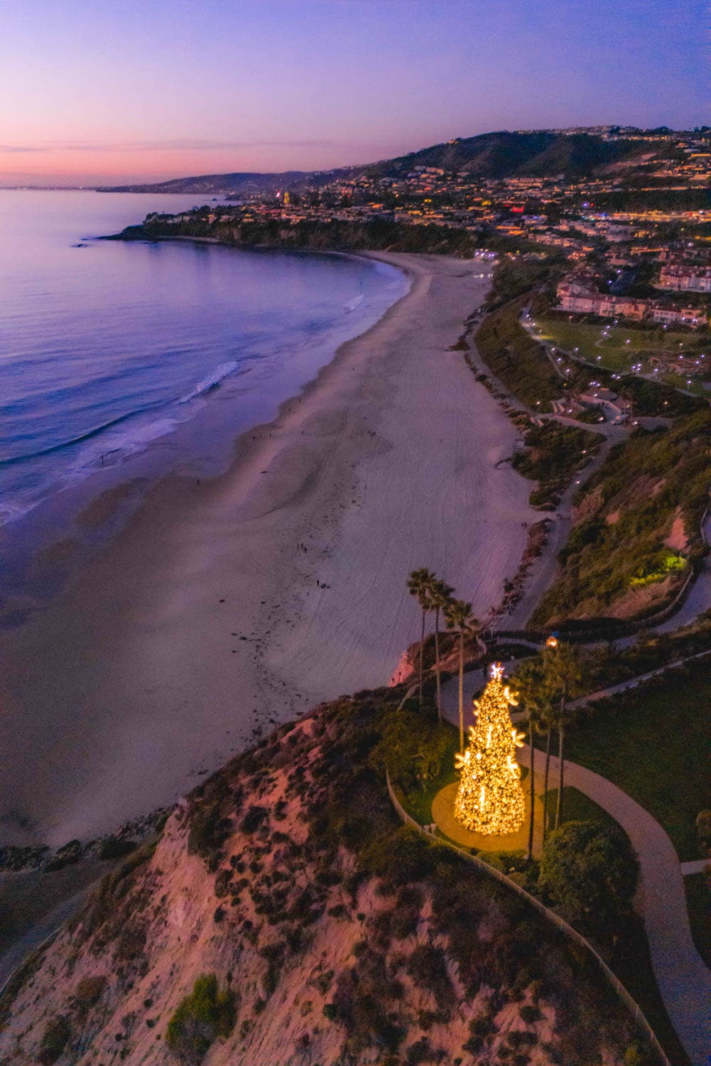 Illuminated coastal Christmas tree overlooking a Southern California cove in the HLI portfolio