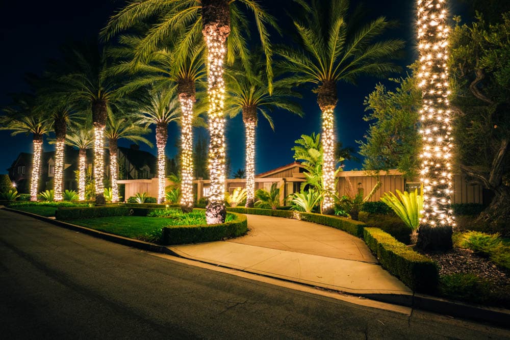 Long palm-lined residential drive and landscape illuminated in warm white holiday lights in the HLI portfolio
