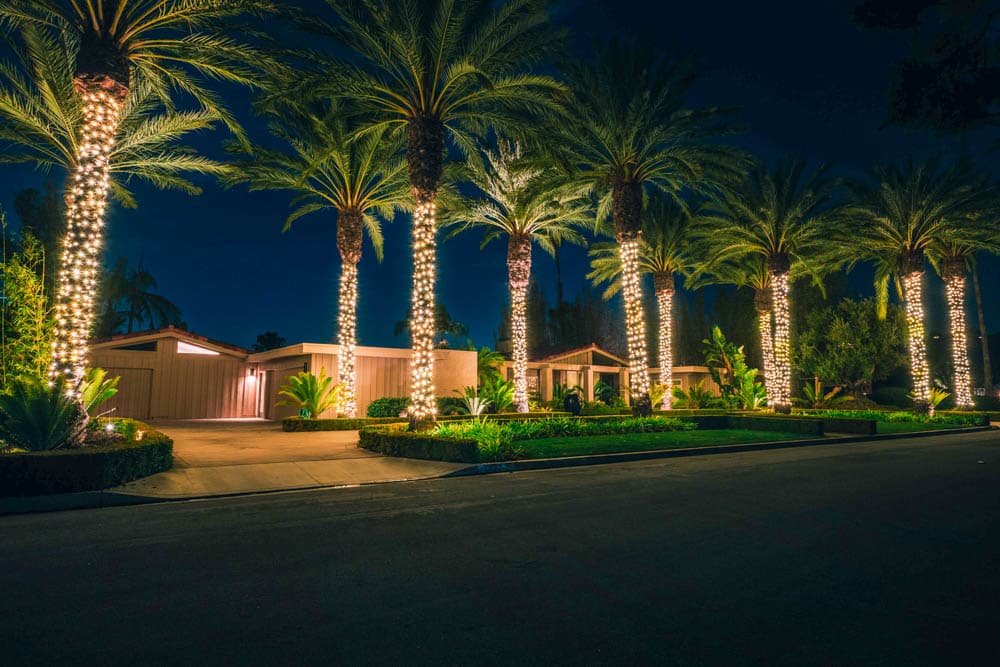 Palm-lined residential frontage illuminated with warm white holiday lights