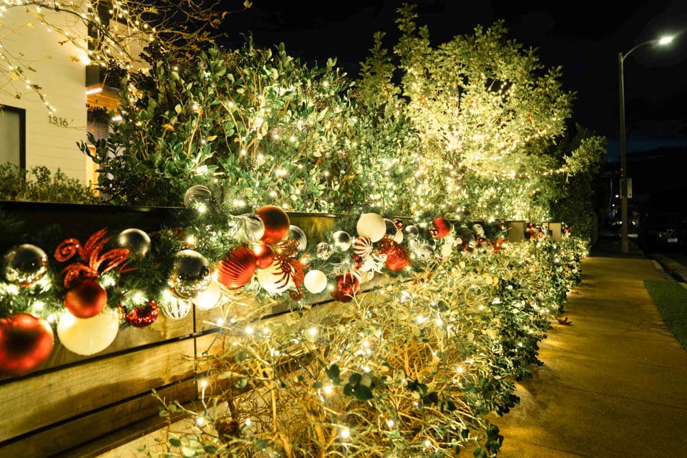 Warm white lights and red ornaments integrated into layered residential landscaping