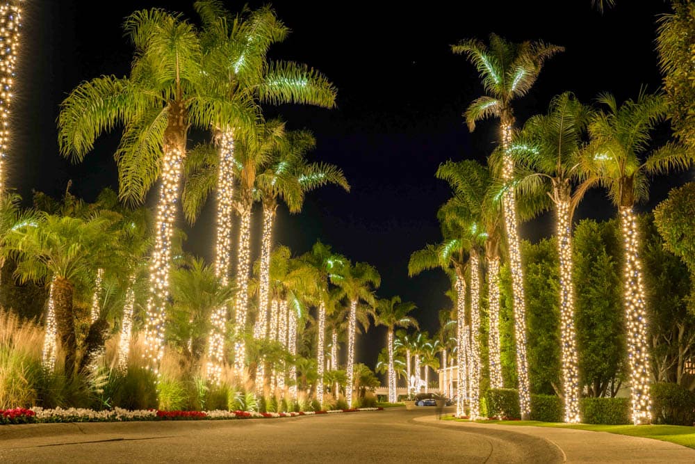 Palm-lined Southern California property illuminated with warm white holiday lights in an HLI portfolio image